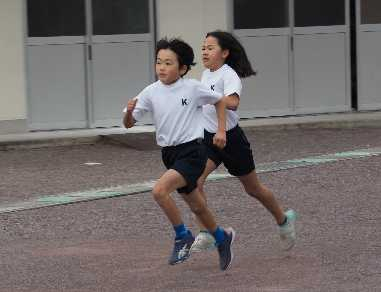 Pb2930312_2