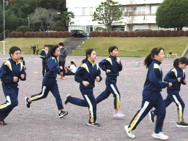 Pb2933132