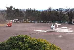 P11855872