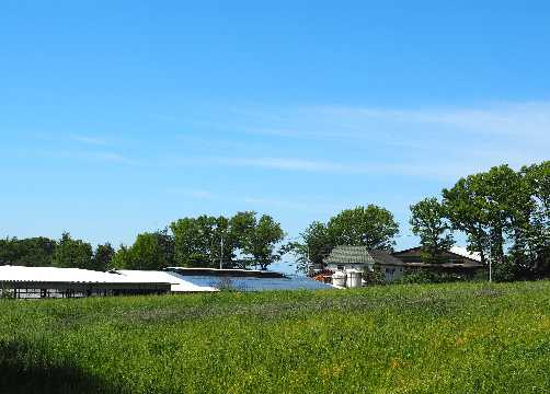 P50320092