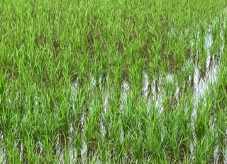 Img_1557_2