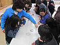Img_4103 Img_4103